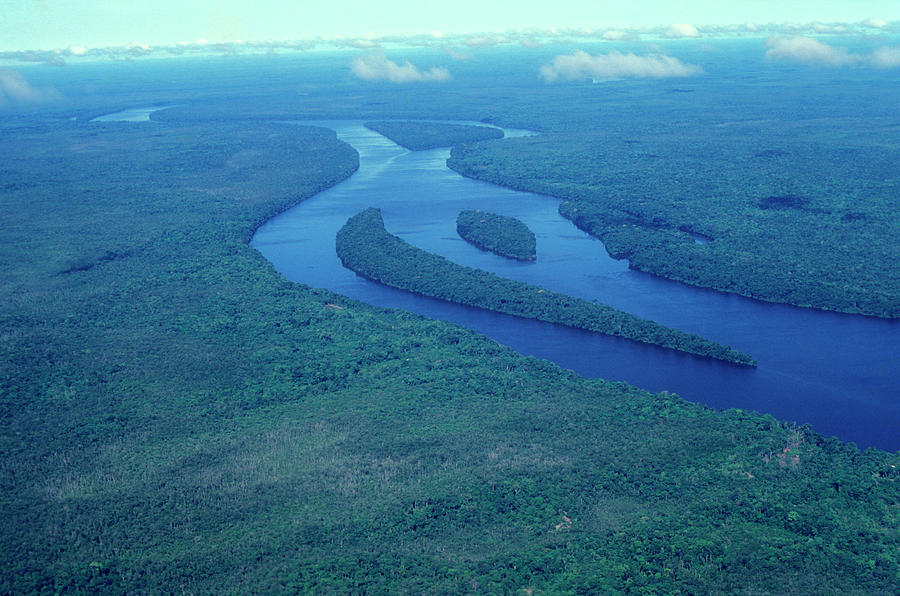 Aerial Shot Of The Amazon River Photograph by Brasil2