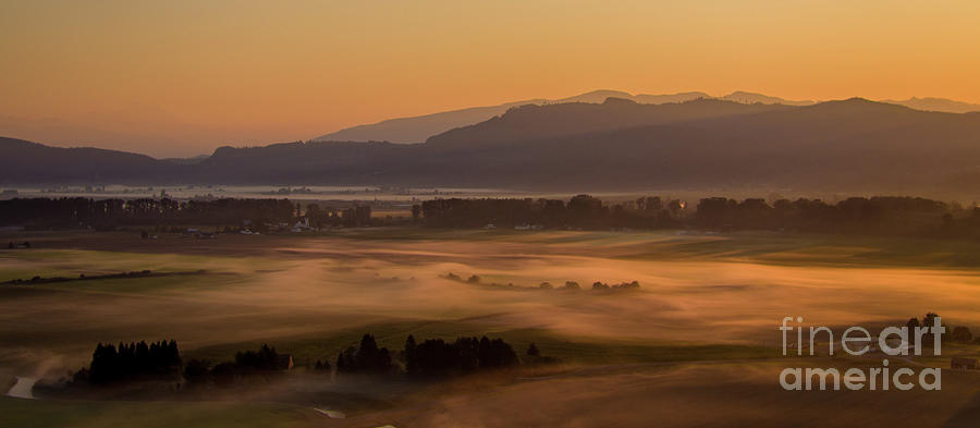 Aerial Skagit Photography Morning In The Fields Photograph
