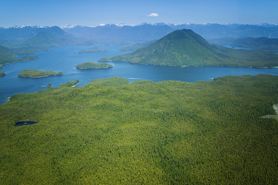 Aerial View Clayoquot Sound West Coast Photograph by Lucidio Studio, Inc.
