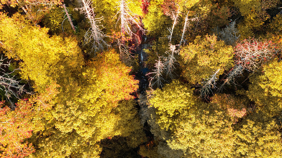 Aerial View Fall Colors Over North Carolina Mountains Photograph