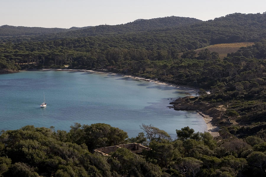 Aerial View Of A Bay At Porquerolles, Iles Dhyeres, France, Europe Photograph by Ulla Lohmann