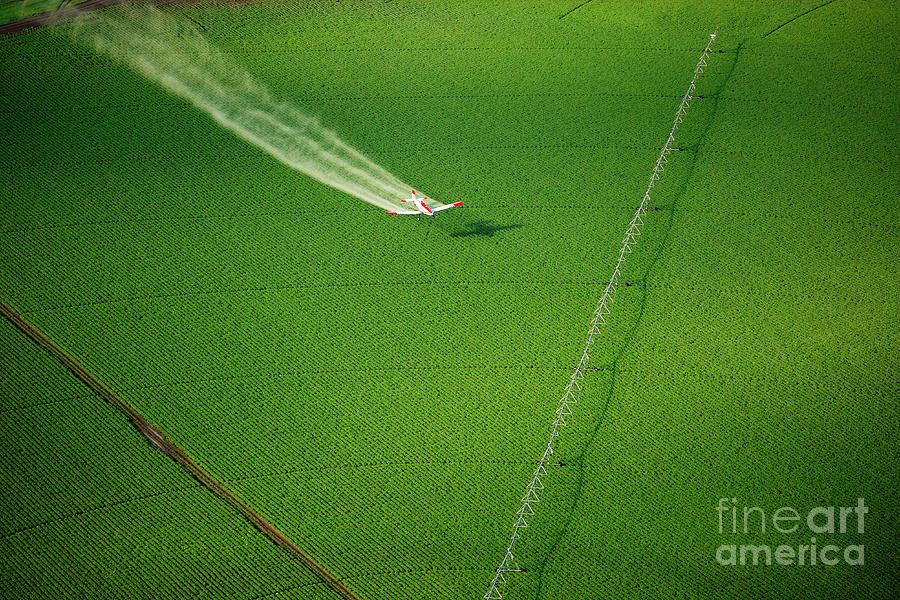 Green Photograph - Aerial View Of A Crop Duster Spraying by B Brown