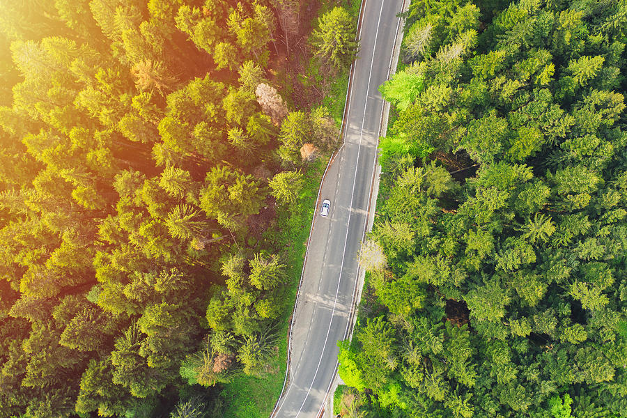 Nature Photograph - Aerial View Of A Forest Road Passing by Daniel Chetroni