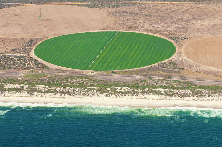 Aerial View Of A Potato Crop Circle On Photograph by B-c Images Aerial View Of A Potato Crop Circle On Photograph by B-c Images
