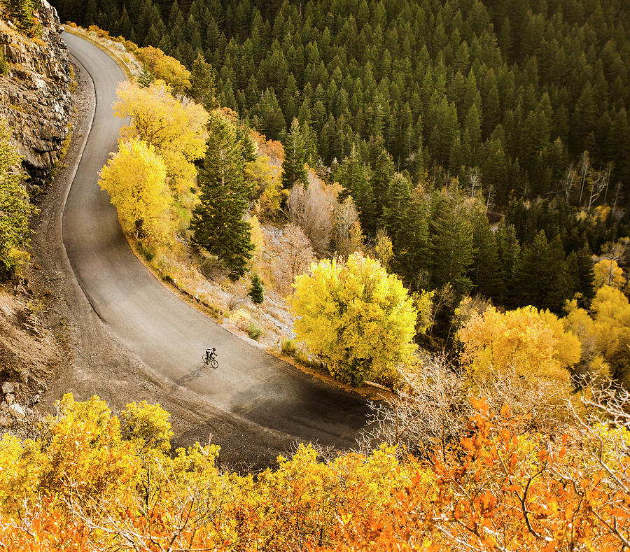 Aerial View Of Bicyclist On Rural Road Photograph by Blend Images - Mike Kemp Aerial View Of Bicyclist On Rural Road Photograph by Blend Images - Mike Kemp