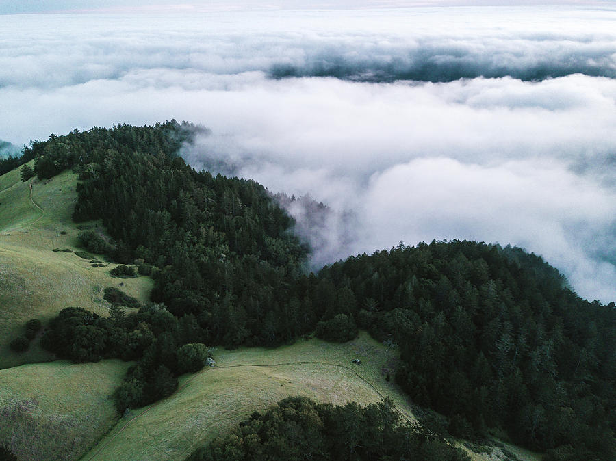 Aerial View Of Clouds Covering Green Landscape Photograph by Cavan Images Aerial View Of Clouds Covering Green Landscape Photograph by Cavan Images