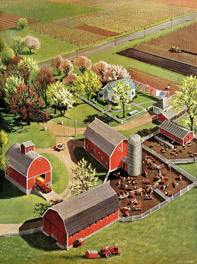 Aerial View Of Farm Drawing by C.j. Sternberg
