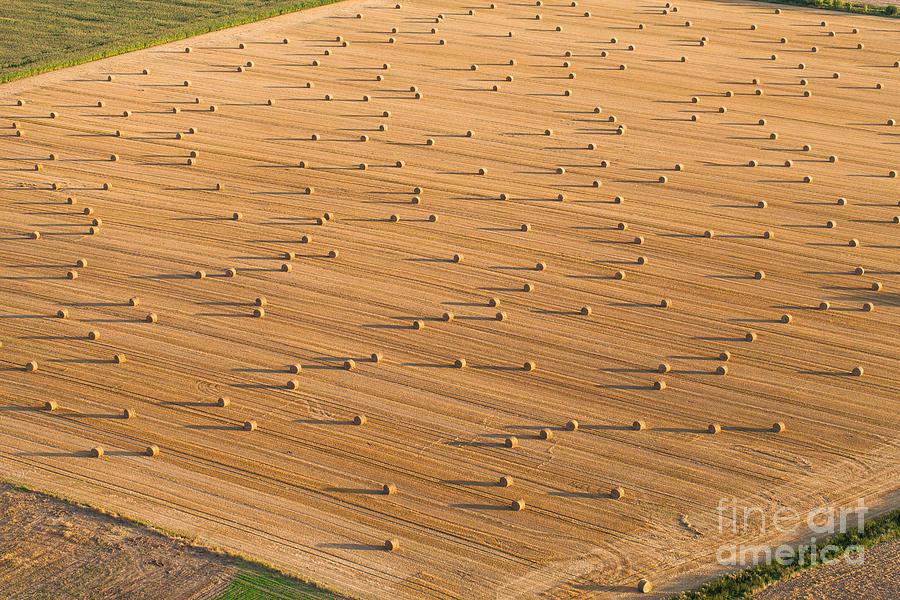 Plane Photograph - Aerial View Of Harvest Field by Mariusz Szczygiel Plane Photograph - Aerial View Of Harvest Field by Mariusz Szczygiel