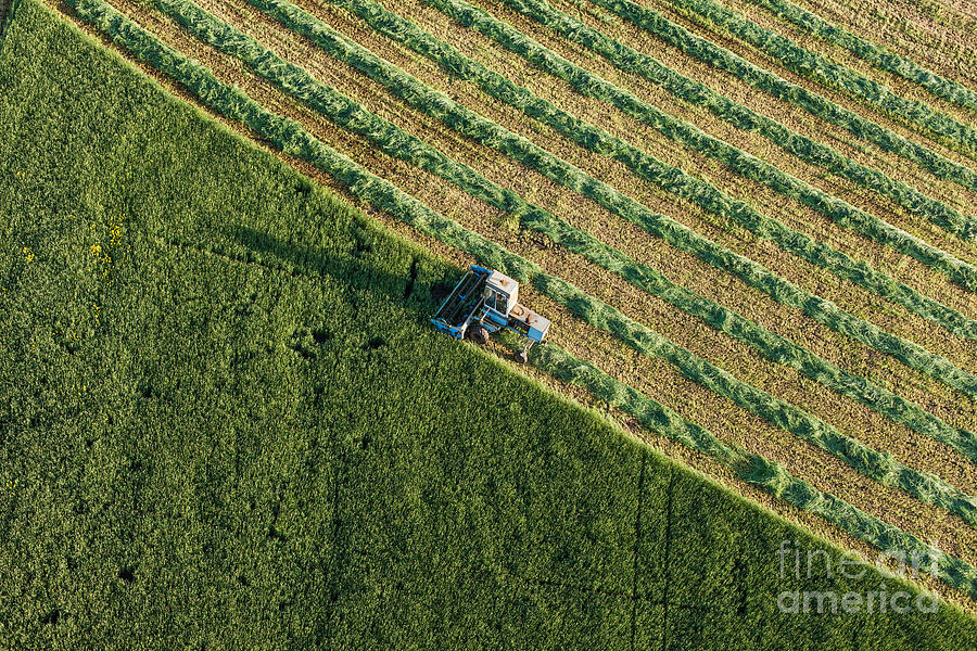 Plane Photograph - Aerial View Of Harvest Fields by Mariusz Szczygiel Plane Photograph - Aerial View Of Harvest Fields by Mariusz Szczygiel