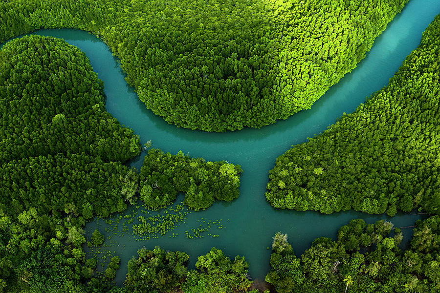 Aerial View Of Koh Chang Photograph by Athit Perawongmetha