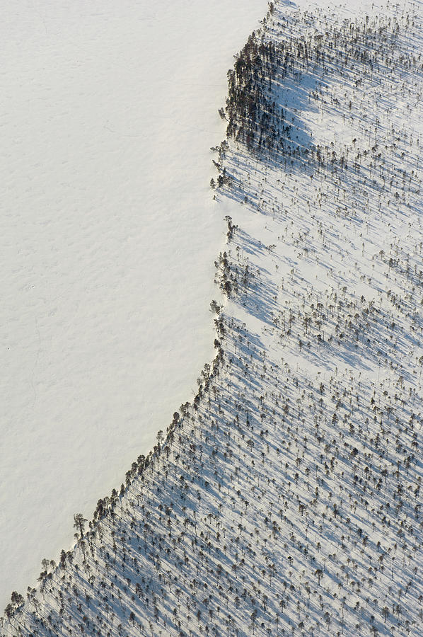 Aerial View Of Lake Beach At Winter Photograph by Johner Images