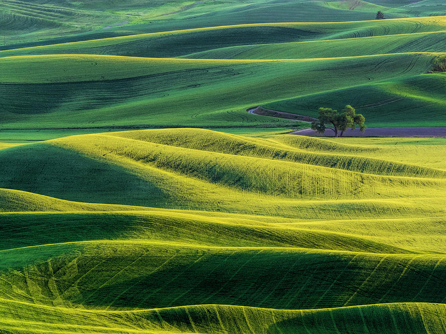 Aerial View Of Palouse Region Photograph by Terry Eggers - Pixels