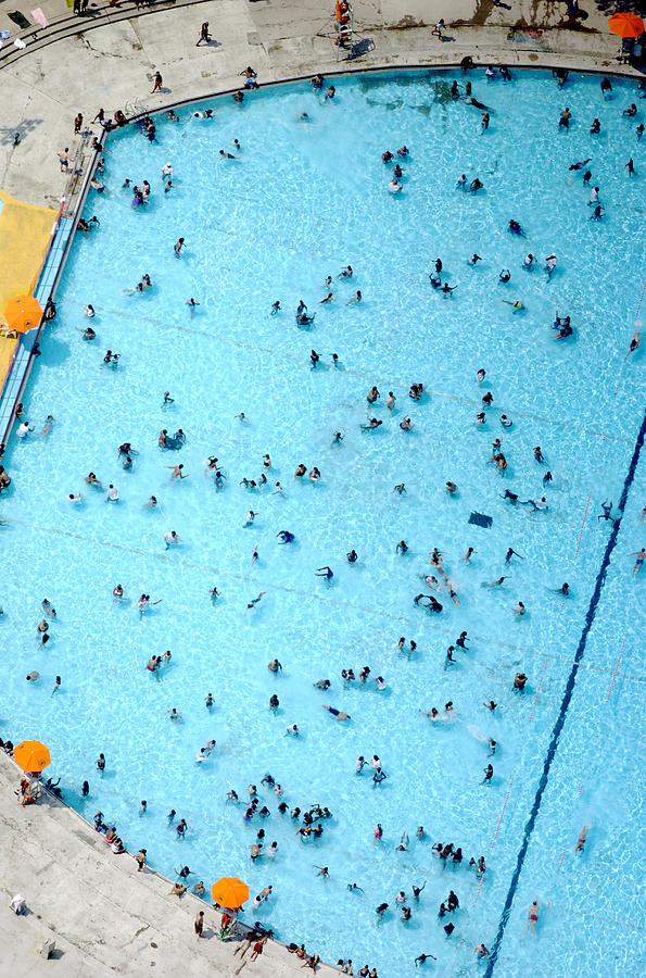 Aerial View Of People Swimming In The Photograph by New York Daily News Archive