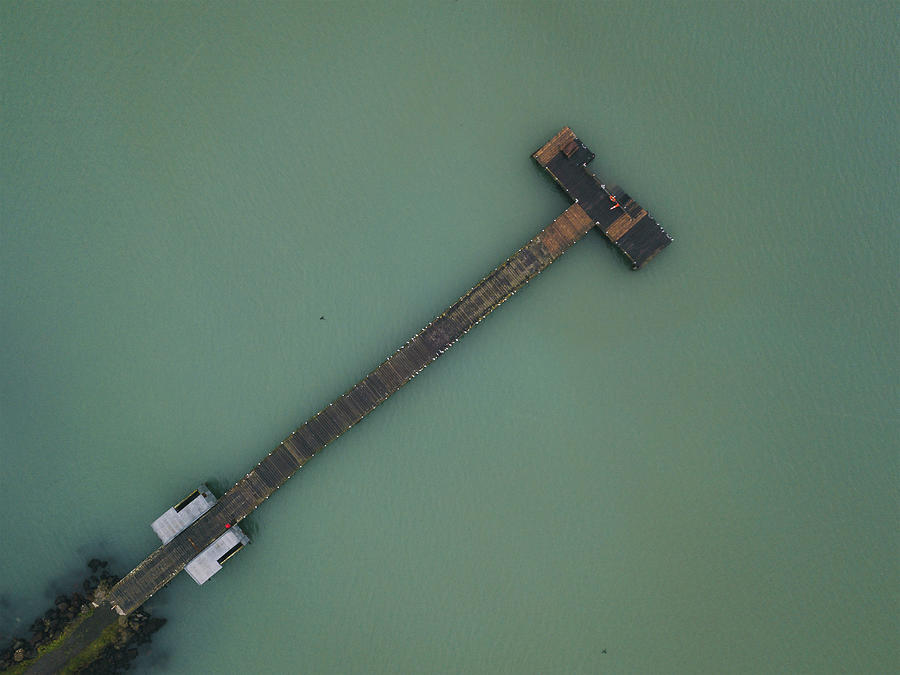 Tree Photograph - Aerial View Of Port Levy Jetty, Banks Peninsula, New Zealand by Cavan Images