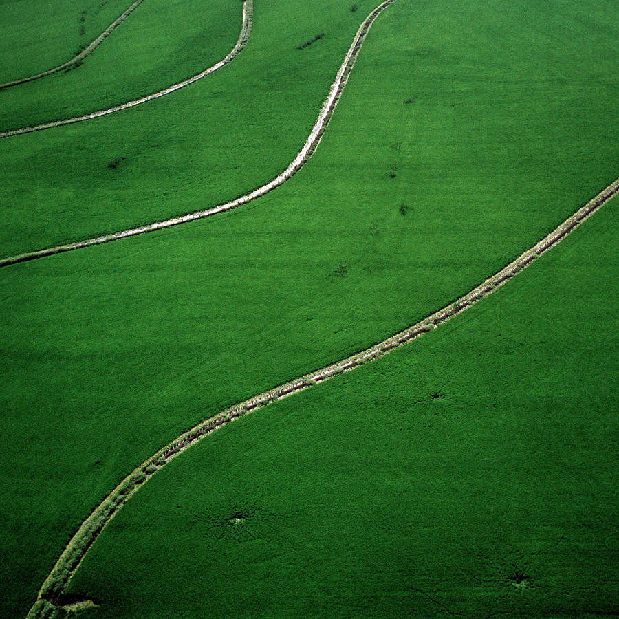 Aerial View Of Rice Fields Photograph by Richard Ross
