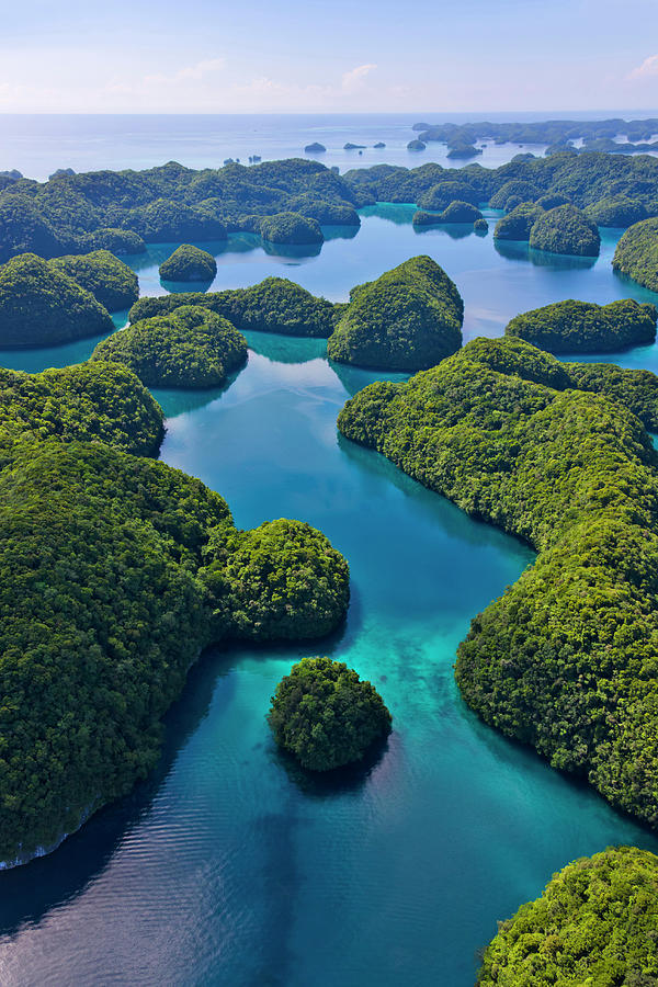 Aerial View Of Rock Islands, Palau By Danita Delimont