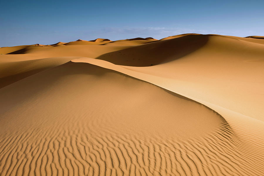 Aerial View Of Sand Dunes Digital Art by Rosa Isabel Vazquez - Fine Art ...