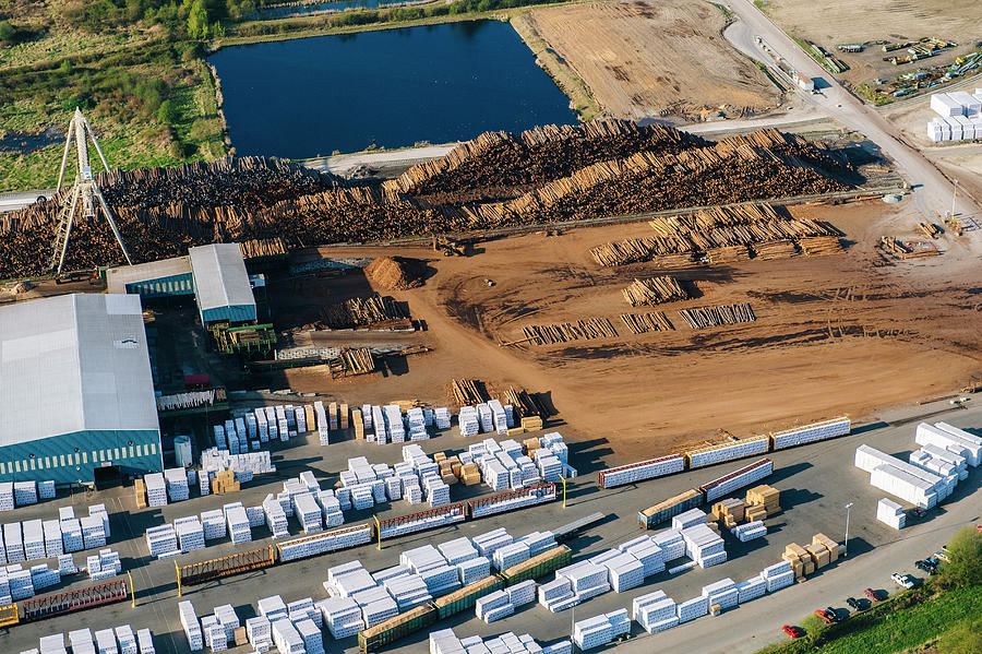 Nature Digital Art - Aerial View Of Stacked Tree Trunks And Warehouses In Timber Yard by Pete Saloutos