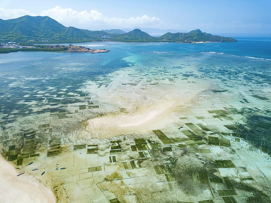 Aerial View Of Sumbawa  Island Indonesia Photograph by 