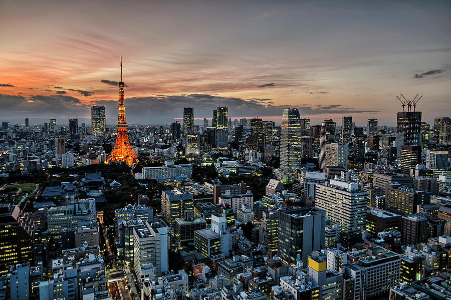 Aerial View Of Tokyo Cityscape At Night by Aluxum