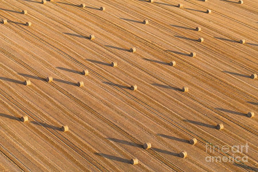Plane Photograph - Aerial View Of Tractor On Harvest Field by Mariusz Szczygiel Plane Photograph - Aerial View Of Tractor On Harvest Field by Mariusz Szczygiel