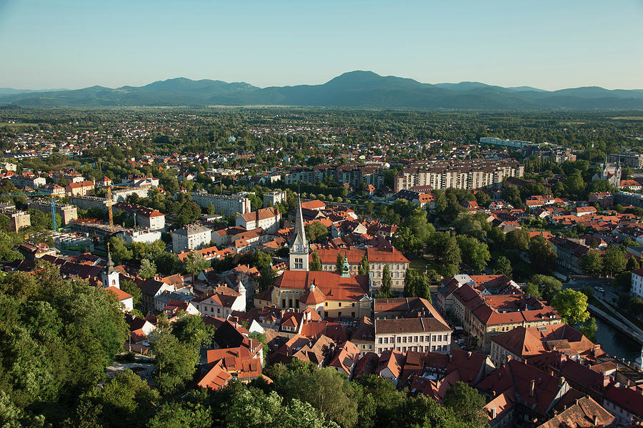 Aerial View Of Tree Lined City Digital Art by Lost Horizon Images ...