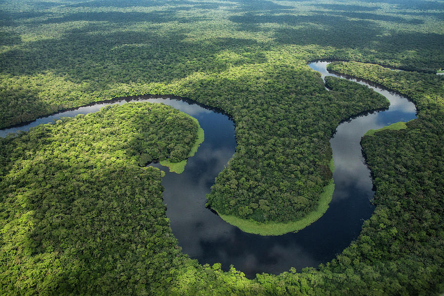 Aerial View Of Tropical Rainforest And River, Salonga Np, Drc 