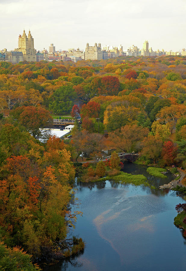Aerial View Of Urban Park, New York Photograph by Mike Tauber