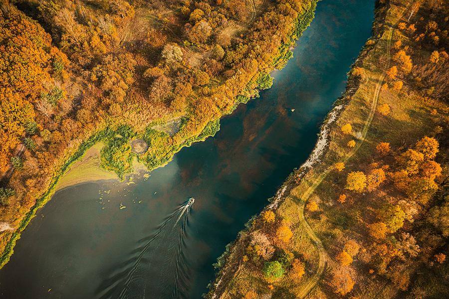 Nature Photograph - Aerial View Of Yellow Forest Woods by Ryhor Bruyeu