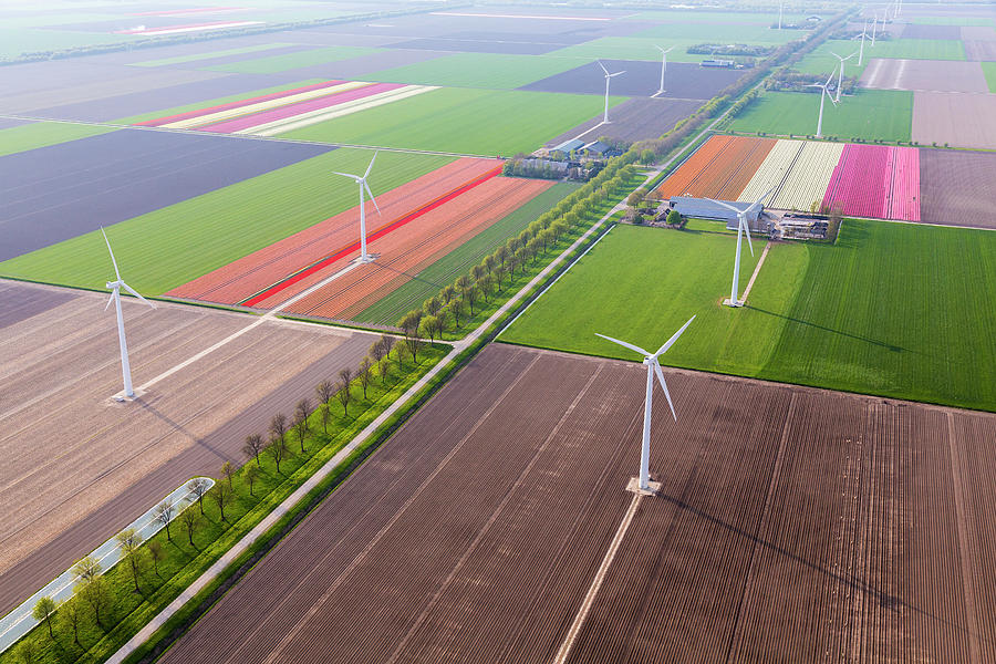 Aerial View Wind Turbines & Tulip Photograph by Peter Adams