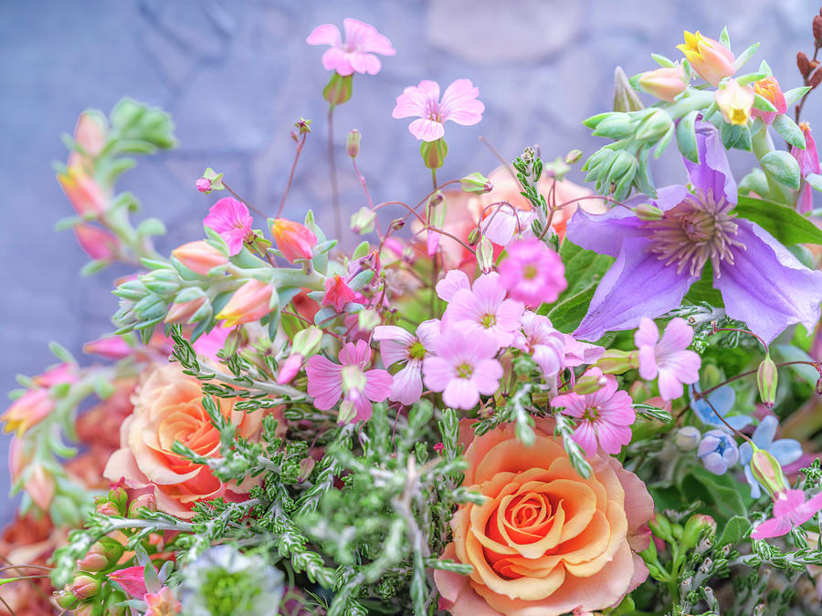 Flower Photograph - Af20190807_flowers_240 by Assaf Frank Flower Photograph - Af20190807_flowers_240 by Assaf Frank
