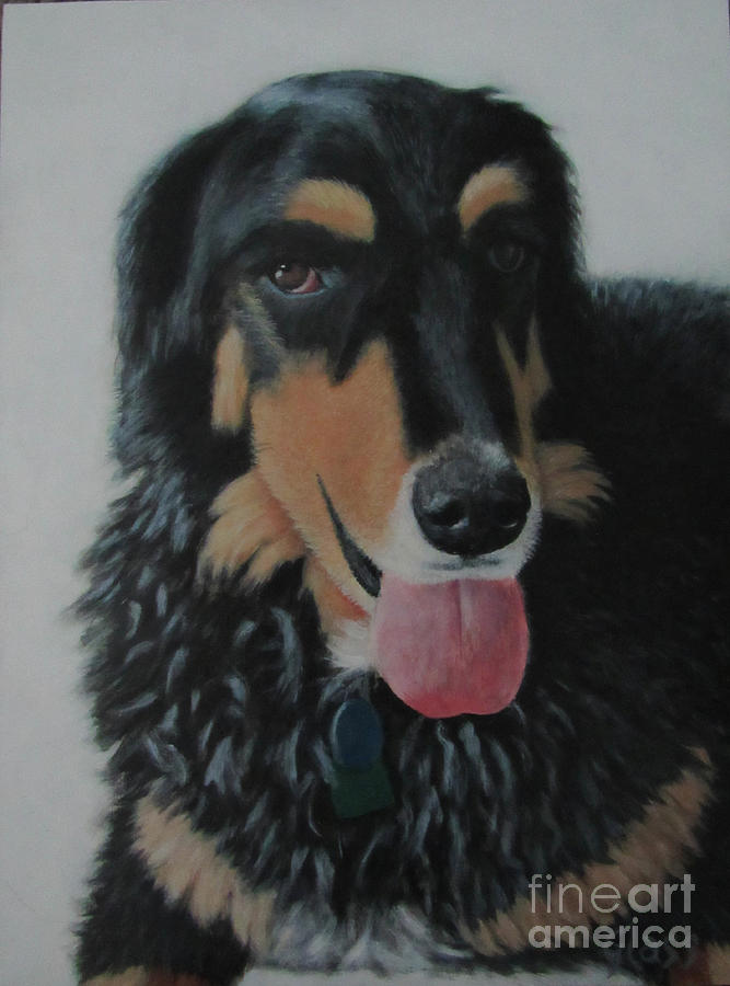 Dog Painting - Affectionate Companion by Tina Glass