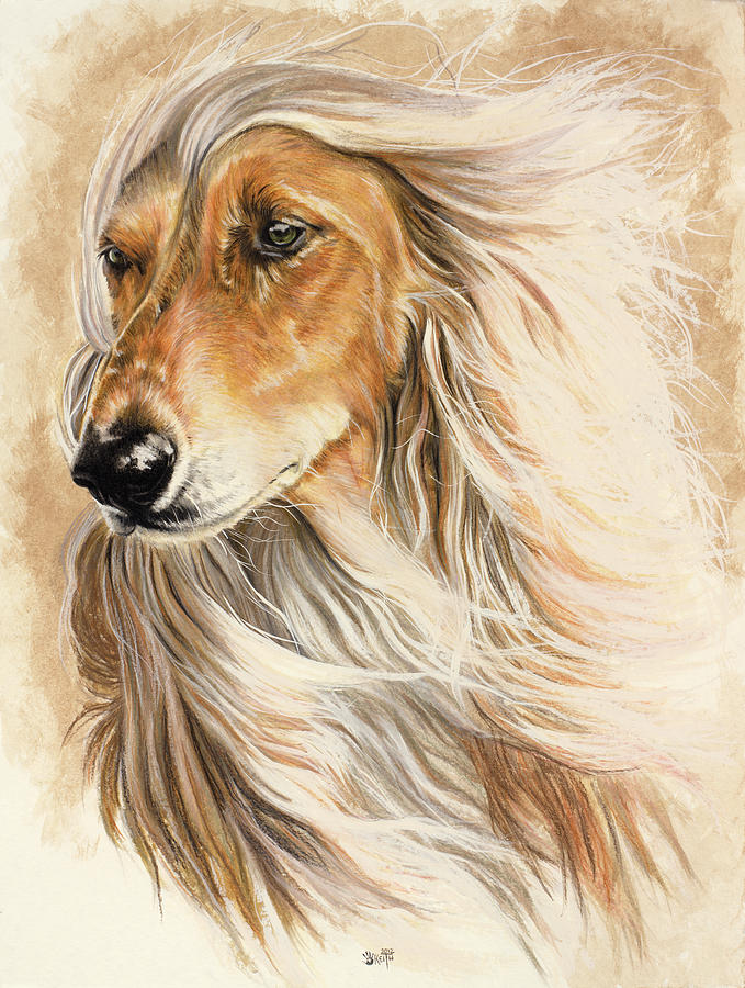 Dog Painting - Afgan Hound by Barbara Keith