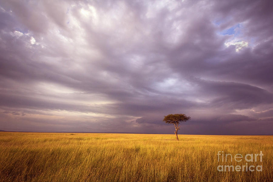 Africa Landscape Photograph by Wldavies