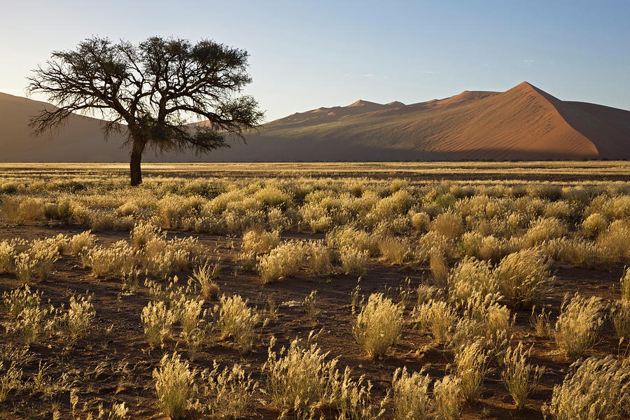 Africa, Namibia, Desert Landscape With Photograph by Westend61