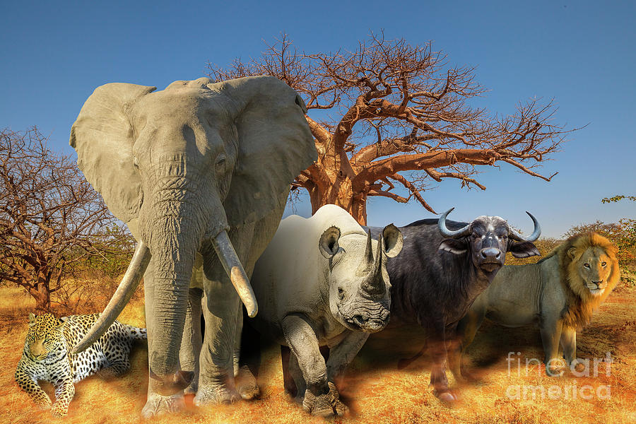 African animals and Baobab background Photograph by Benny Marty - Pixels