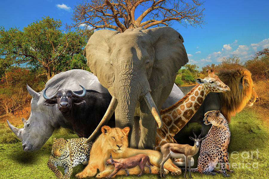 African animals nature background Photograph by Benny Marty