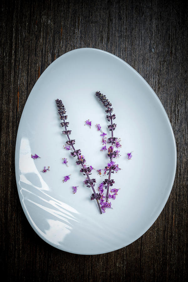 African Basil Lilac Blossoms On A White Dish Photograph by Nitin Kapoor