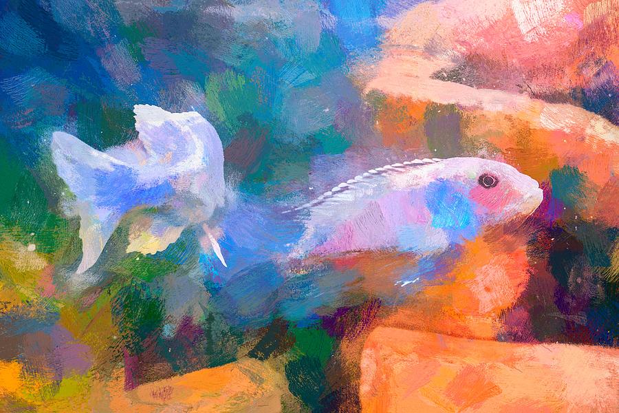 African Cichlid Abstract Art Digital Art by Don Northup