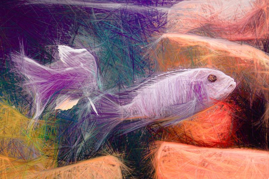 African Cichlid Art Pastel Digital Art by Don Northup