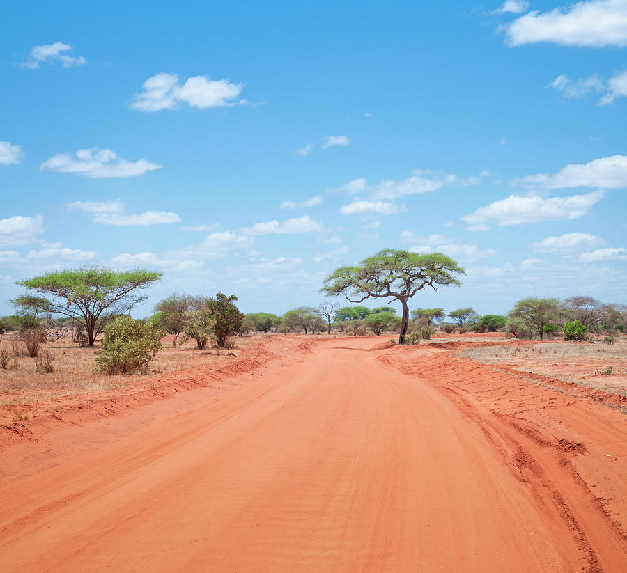 African Country Road Photograph by Georgeclerk