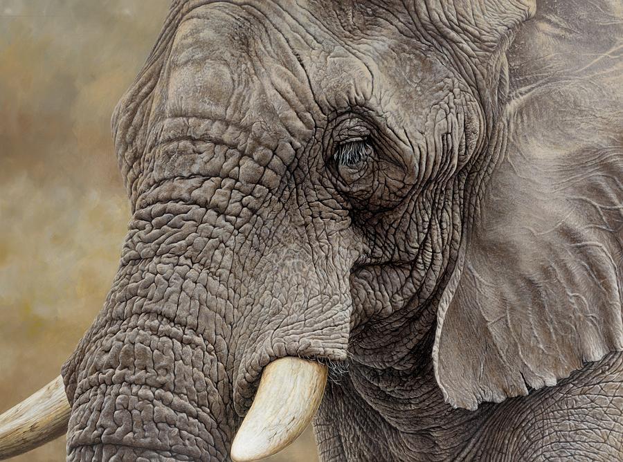 African Elephant Painting by Alan M Hunt