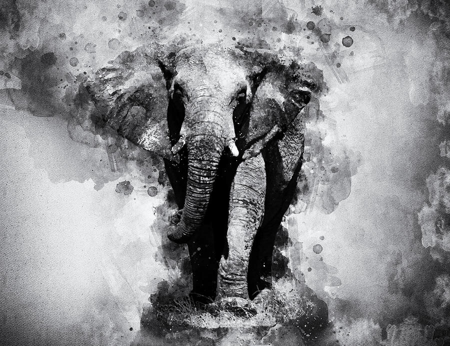 African Elephant Black and White Watercolor Painting by SP JE Art