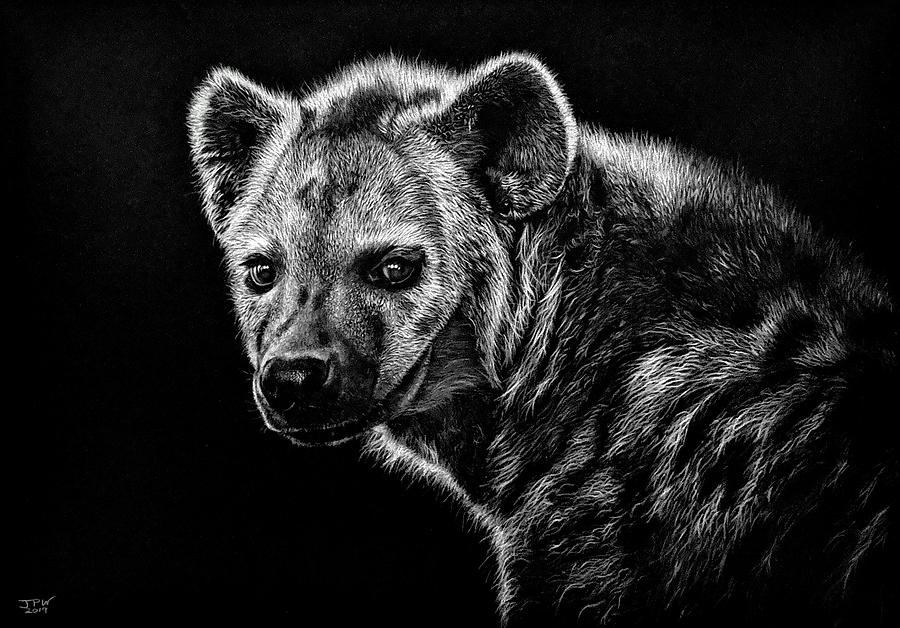 African Hyena Drawing by JPW Artist Fine Art America