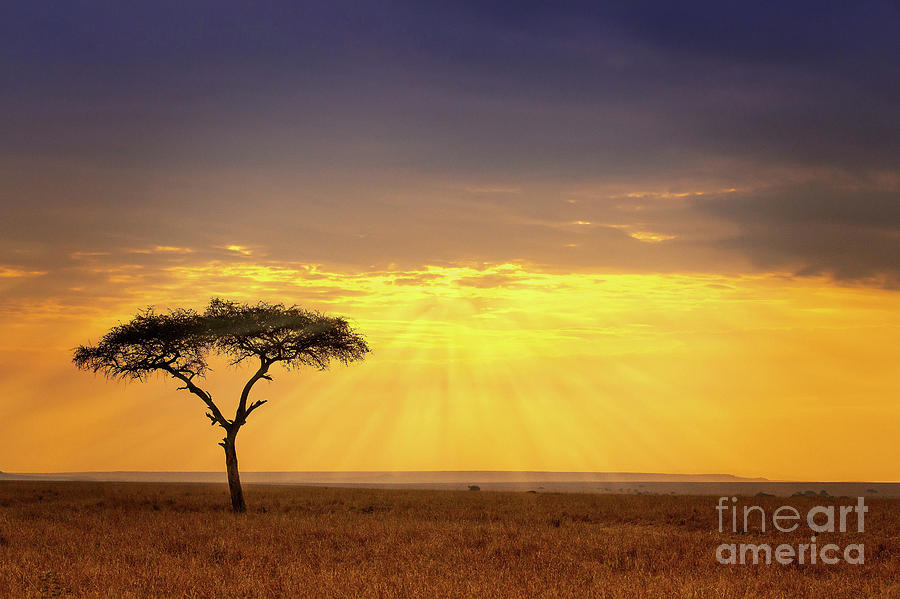 African Landscape Photograph By Todd Bielby Pixels 5836