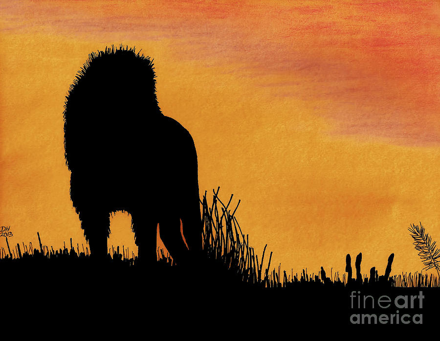 African Lion Sunset Drawing by D Hackett