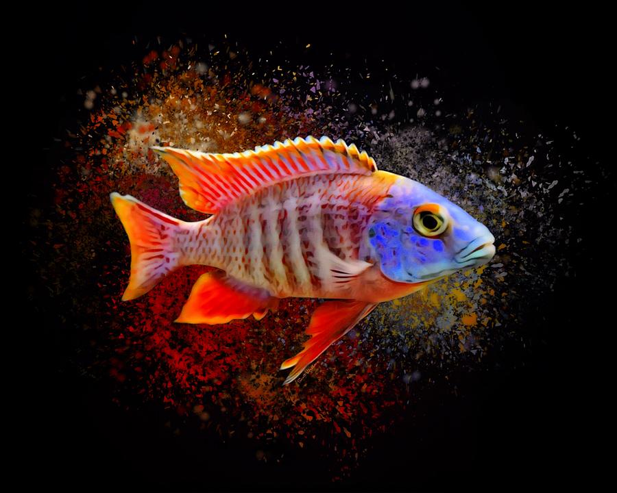 Fish Digital Art - African Peacock Cichlid III Portrait  by Scott Wallace Digital Designs