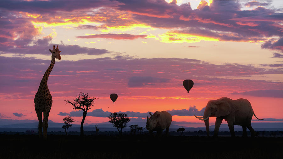 African Safari Colorful Sunrise With Animals Photograph by Good Focused