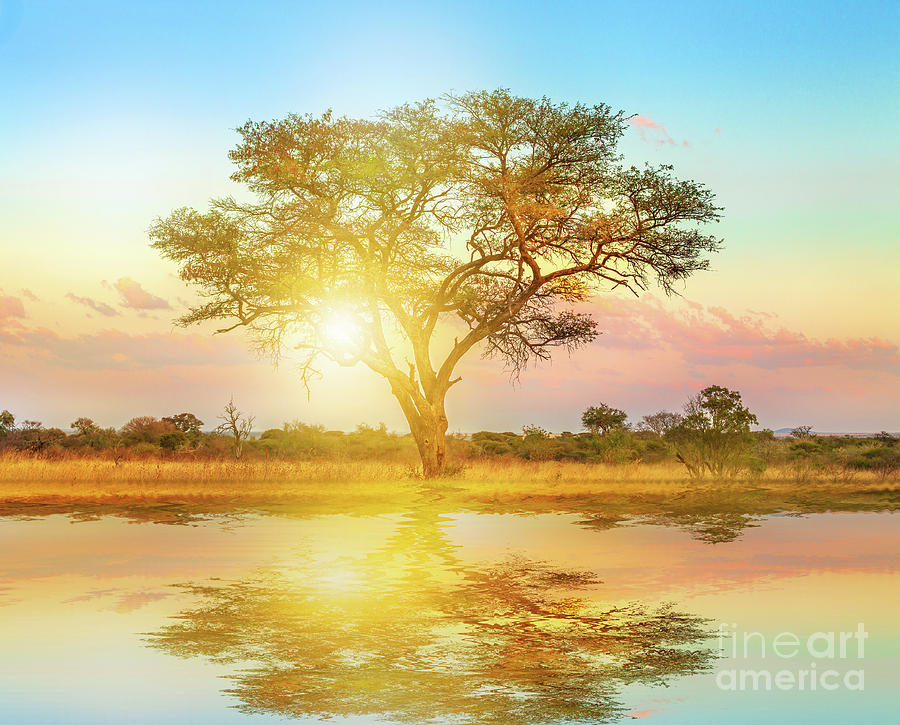 African Savannah landscape Photograph by Benny Marty
