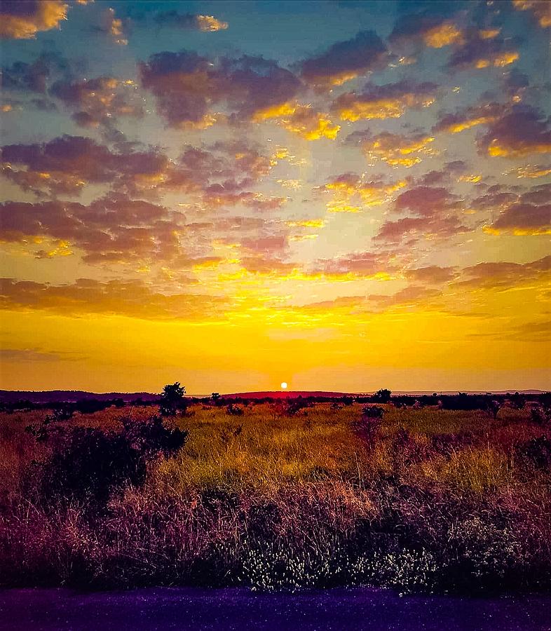 African Sunrise Pyrography by Jaco Jansen | Fine Art America